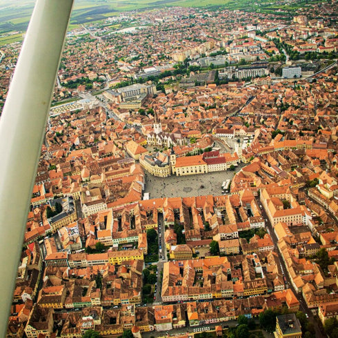 Cerere in casatorie in avion